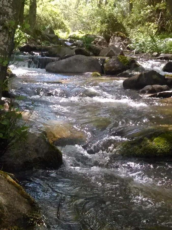 El Mirador Διαμέρισμα Burgohondo Εξωτερικό φωτογραφία